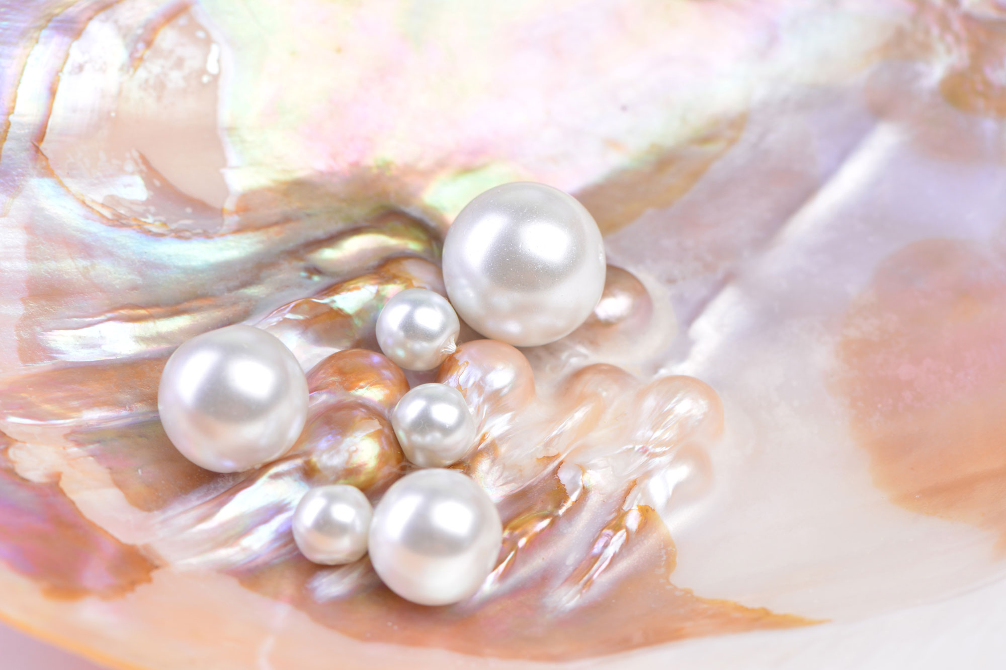 perles akoya de chine 01
