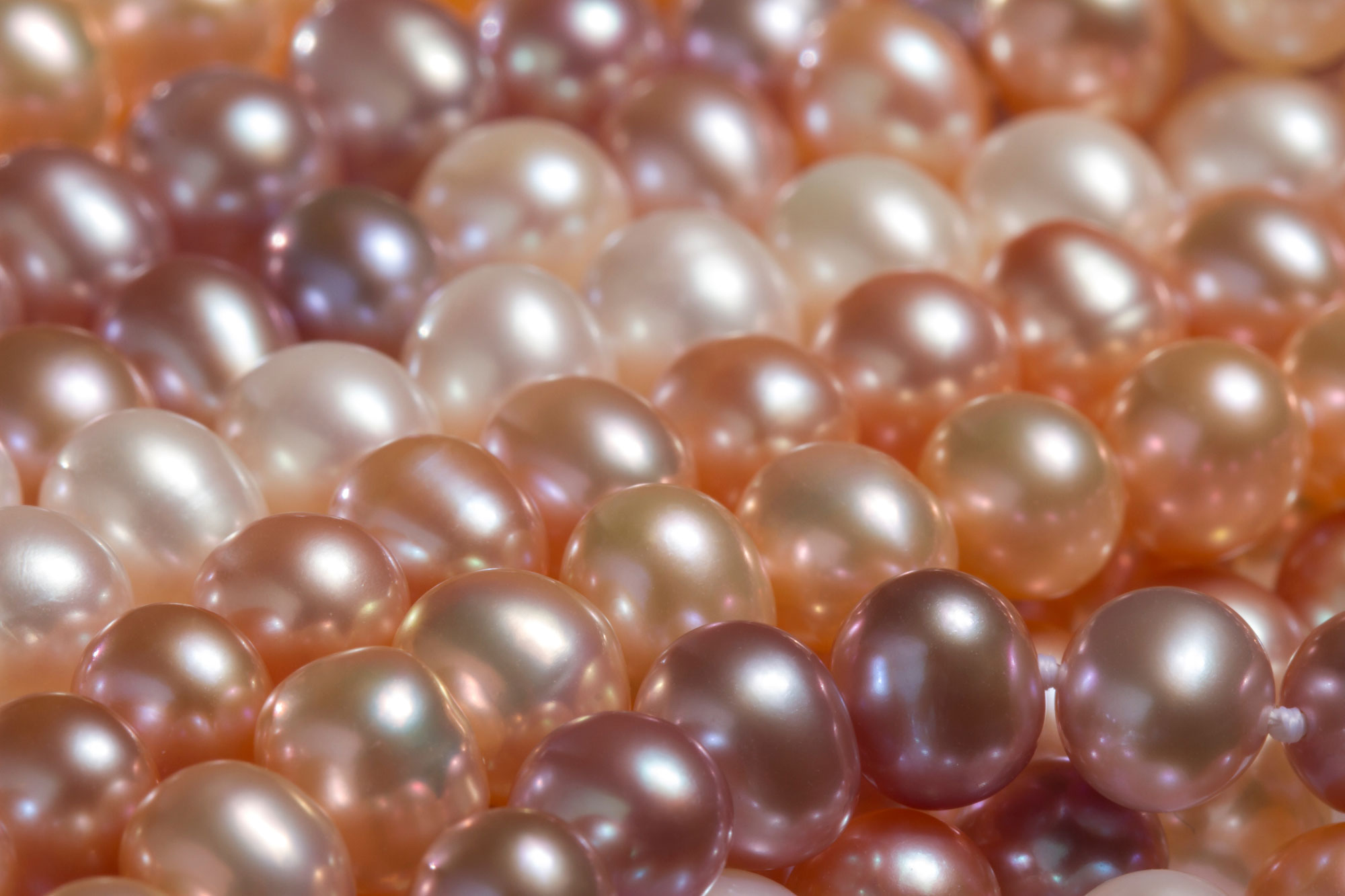 Perles d'eau magiques, perles absorbantes, grandes perles