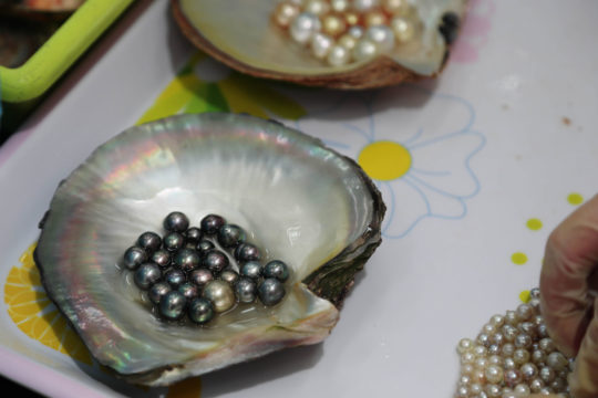 fabrication perle de culture