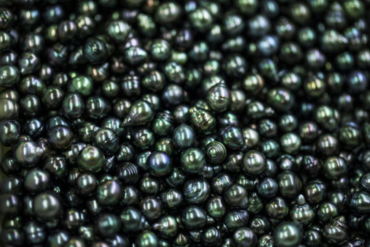 perle noire de tahiti beaute rare et precieuse