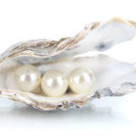 differences entre perles eau douce et perles de mer