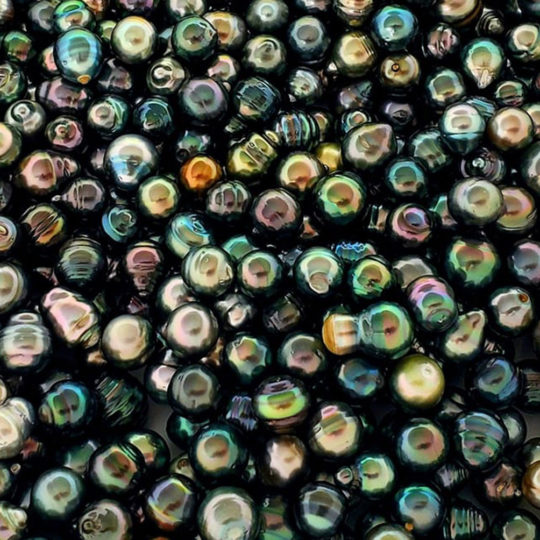 perles de tahiti excellence joaillerie polynesienne
