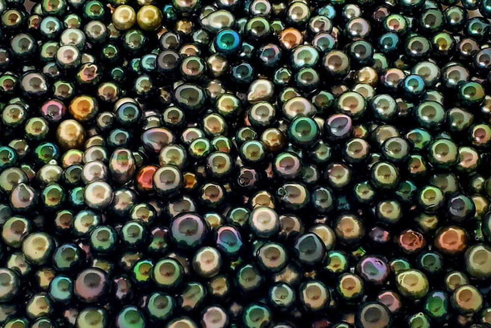 perles de tahiti excellence joaillerie polynesienne