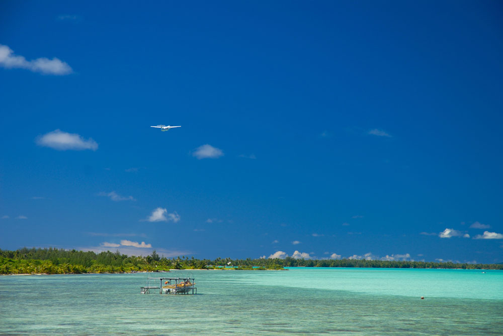 perles de tahiti excellence joaillerie polynesienne